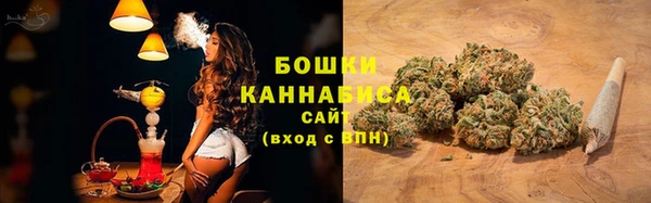 mdpv Каменка