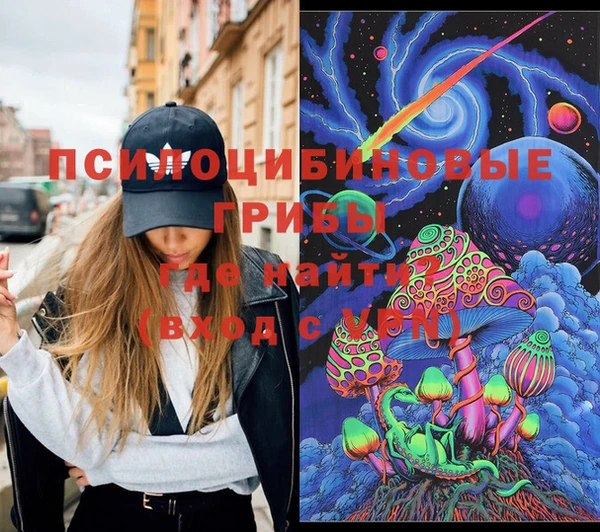 бошки Абаза