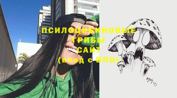 бошки Абаза