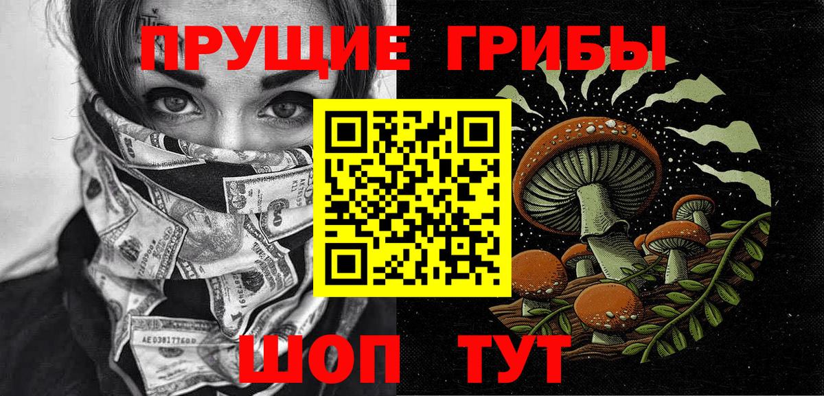 Галлюциногенные грибы Psilocybe Энгельс